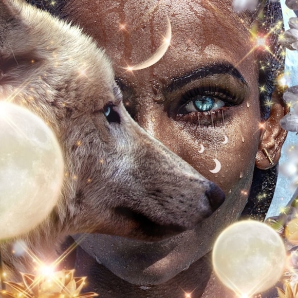 ✨🌙 LOW STARTS NOTIFICATION - Picture 1 of 1